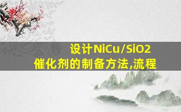 设计NiCu/SiO2催化剂的制备方法,流程