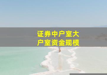 证券中户室大户室资金规模