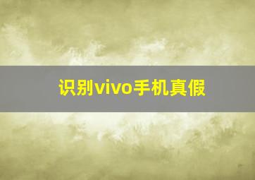 识别vivo手机真假