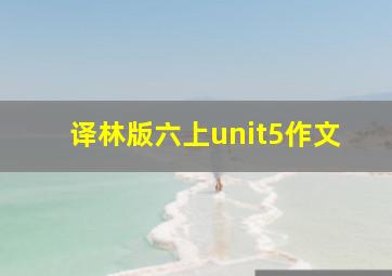 译林版六上unit5作文