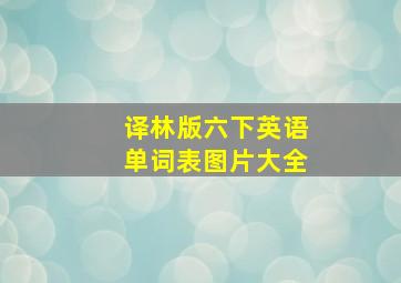 译林版六下英语单词表图片大全