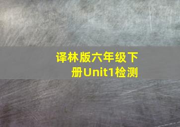 译林版六年级下册Unit1检测