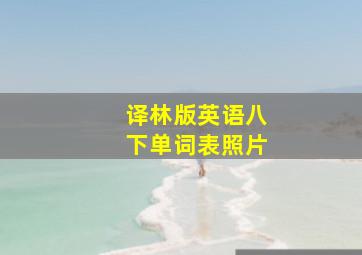 译林版英语八下单词表照片