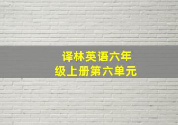 译林英语六年级上册第六单元