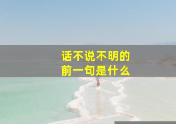 话不说不明的前一句是什么