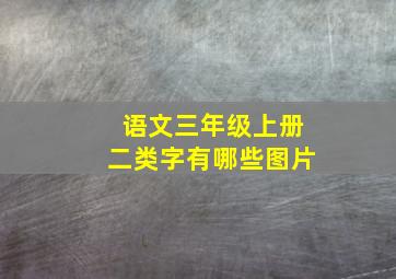 语文三年级上册二类字有哪些图片