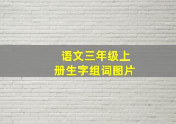 语文三年级上册生字组词图片