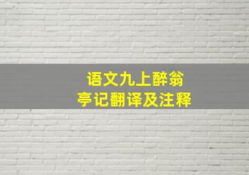 语文九上醉翁亭记翻译及注释