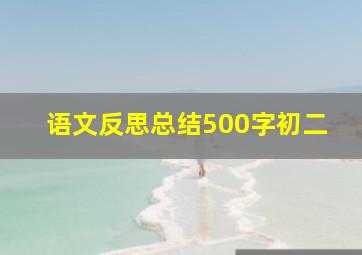 语文反思总结500字初二