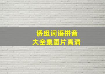 诱组词语拼音大全集图片高清