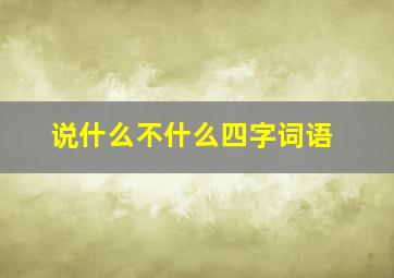 说什么不什么四字词语