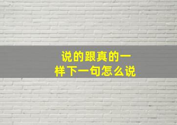 说的跟真的一样下一句怎么说