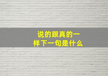 说的跟真的一样下一句是什么