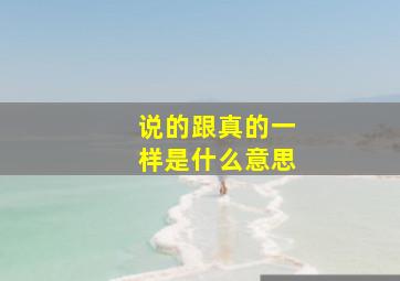 说的跟真的一样是什么意思