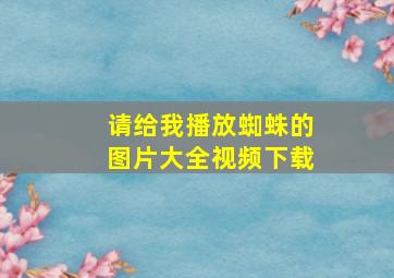 请给我播放蜘蛛的图片大全视频下载