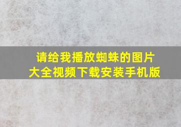 请给我播放蜘蛛的图片大全视频下载安装手机版