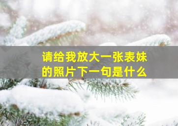 请给我放大一张表妹的照片下一句是什么