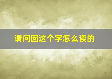 请问囡这个字怎么读的