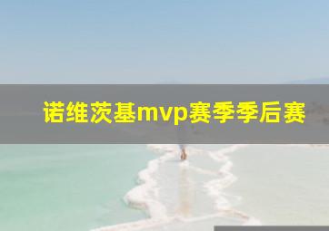 诺维茨基mvp赛季季后赛