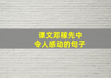 课文邓稼先中令人感动的句子