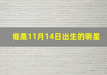 谁是11月14日出生的明星