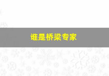 谁是桥梁专家