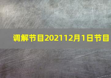 调解节目202112月1日节目