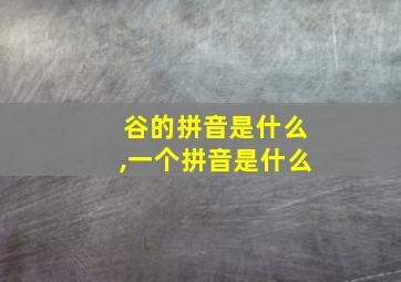 谷的拼音是什么,一个拼音是什么