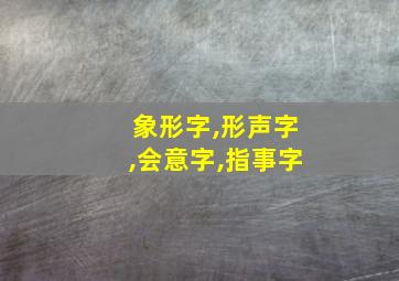 象形字,形声字,会意字,指事字