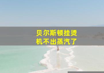 贝尔斯顿挂烫机不出蒸汽了