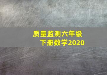 质量监测六年级下册数学2020