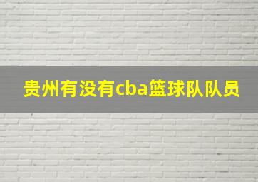 贵州有没有cba篮球队队员