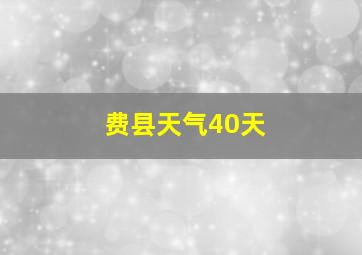 费县天气40天