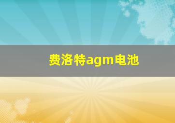 费洛特agm电池