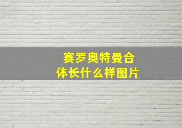 赛罗奥特曼合体长什么样图片