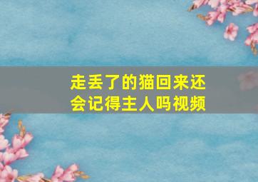 走丢了的猫回来还会记得主人吗视频