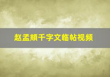 赵孟頫千字文临帖视频