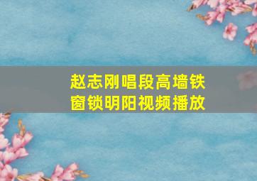 赵志刚唱段高墙铁窗锁明阳视频播放