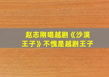 赵志刚唱越剧《沙漠王子》不愧是越剧王子