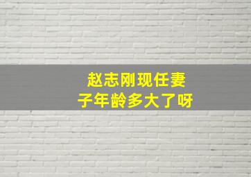 赵志刚现任妻子年龄多大了呀