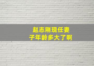 赵志刚现任妻子年龄多大了啊