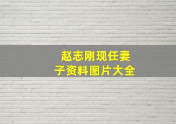 赵志刚现任妻子资料图片大全