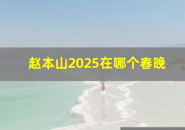 赵本山2025在哪个春晚