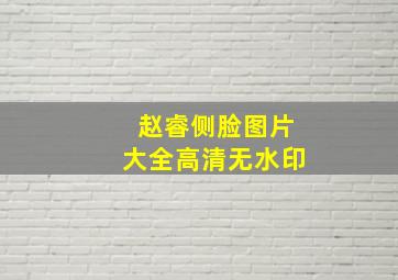 赵睿侧脸图片大全高清无水印