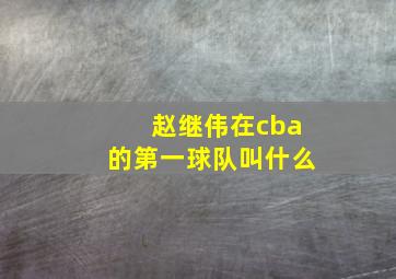 赵继伟在cba的第一球队叫什么