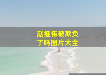 赵继伟被欺负了吗图片大全