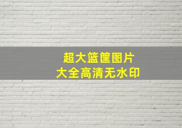 超大篮筐图片大全高清无水印