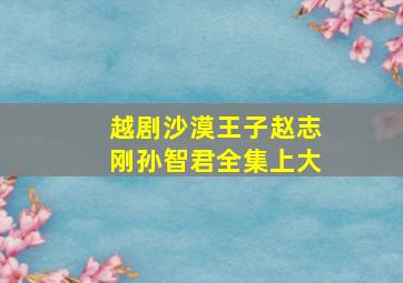 越剧沙漠王子赵志刚孙智君全集上大