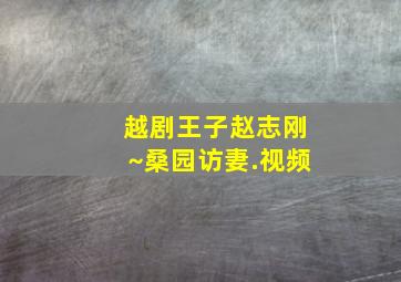 越剧王子赵志刚~桑园访妻.视频