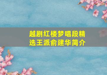 越剧红楼梦唱段精选王派俞建华简介